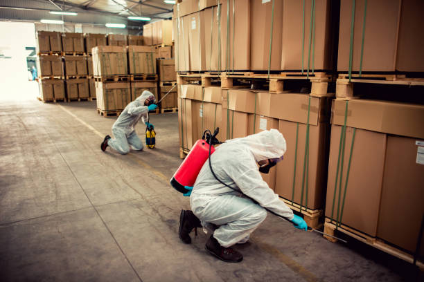 Best Pest Control for Homes  in Westmoreland, TN