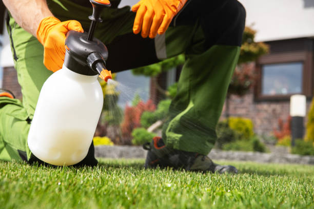 Best Wildlife Control Services  in Westmoreland, TN