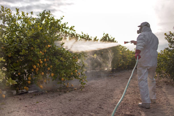 Best Mosquito Control Services  in Westmoreland, TN