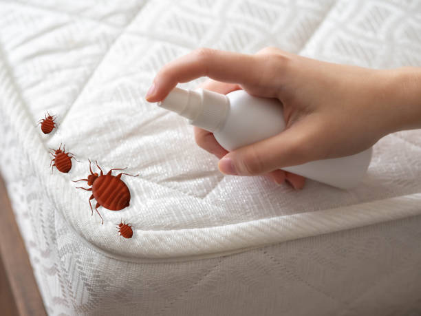 Best Pest Control Near Me  in Westmoreland, TN