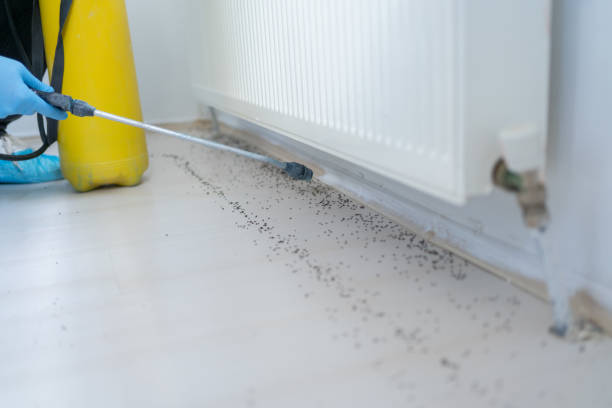 Best Best Pest Control Companies  in Westmoreland, TN